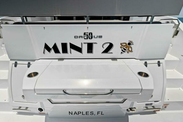 2022 50 Cruisers Cantius - Mint 2 Bee - Swim Platform