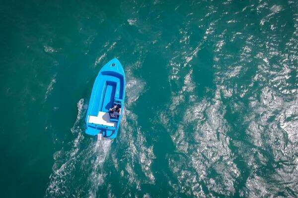 Photo of the 2024 Vision Phantom