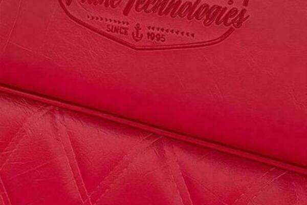 Photo of the 2024 Vision Fantail 217