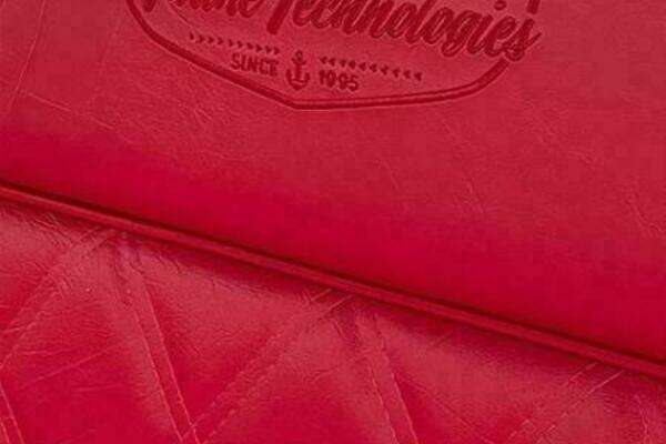 Photo of the 2024 Vision Fantail 217