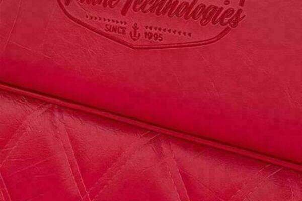 Photo of the 2024 Vision Fantail 217