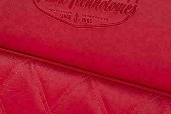 Photo of the 2024 Vision Fantail 217