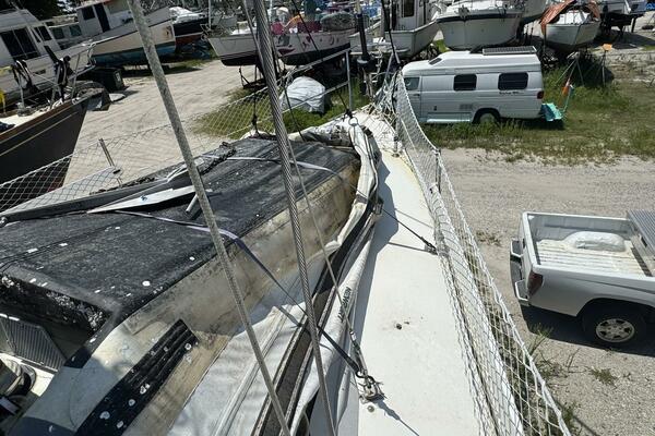 JAMMIN 36ft Catalina Yacht For Sale