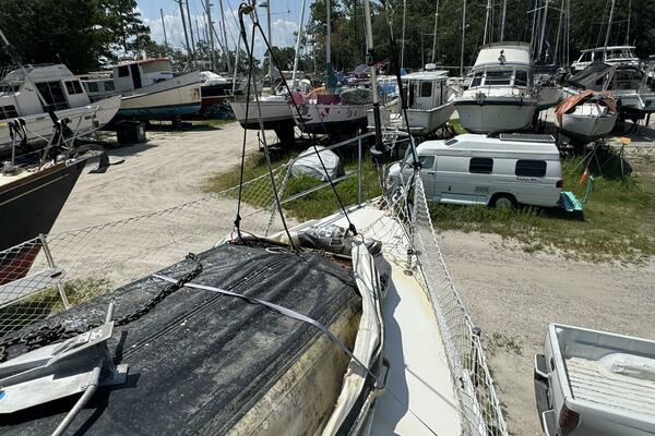 JAMMIN 36ft Catalina Yacht For Sale