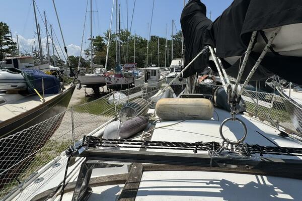 JAMMIN 36ft Catalina Yacht For Sale