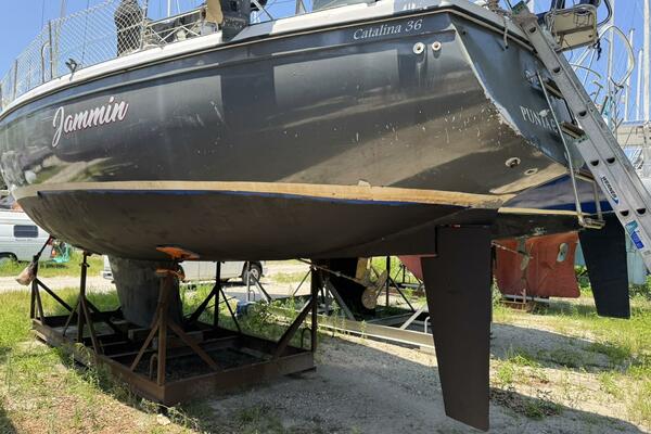 JAMMIN 36ft Catalina Yacht For Sale