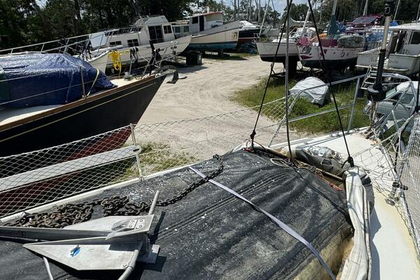 JAMMIN 36ft Catalina Yacht For Sale