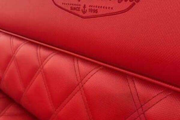 Photo of the 2024 Vision Fantail 217