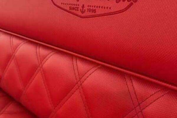 Photo of the 2024 Vision Fantail 217