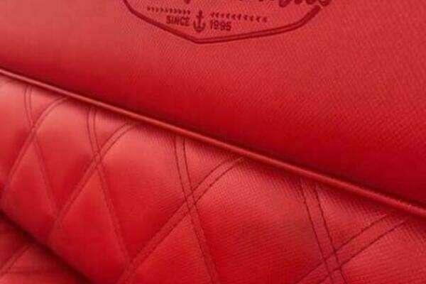 Photo of the 2024 Vision Fantail 217