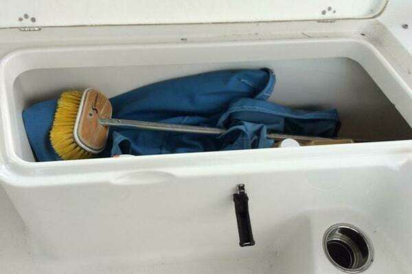 Photo of the 2011 Sailfish 