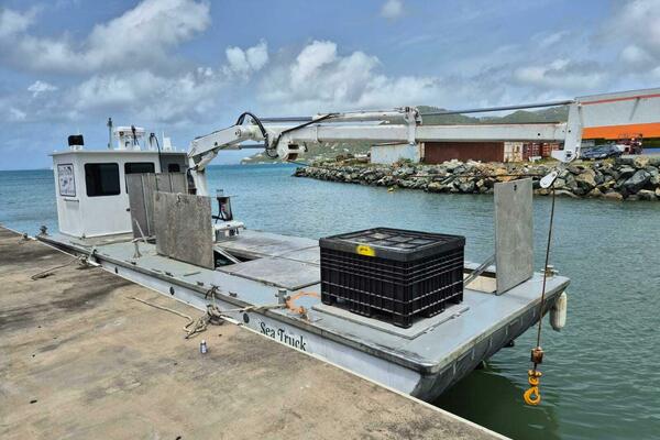 Sea Truck 40ft Custom Yacht For Sale