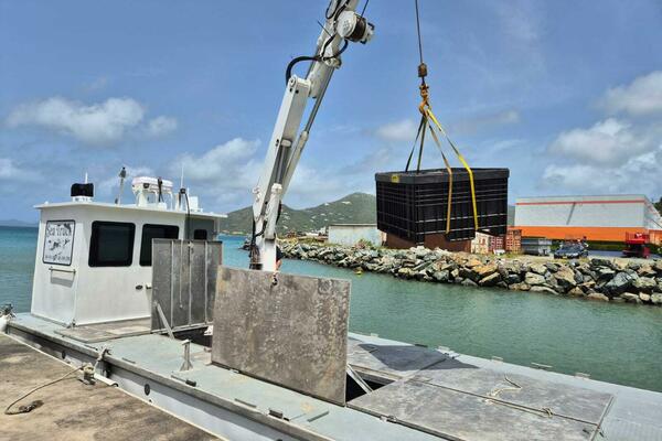 Sea Truck 40ft Custom Yacht For Sale