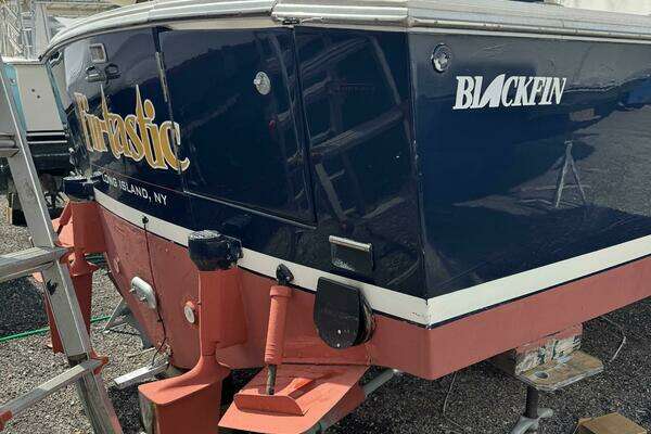 Photo of the 1994 Blackfin 