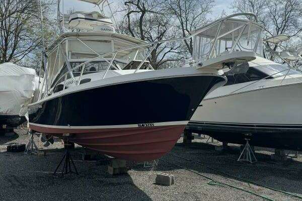 Photo of the 1994 Blackfin 