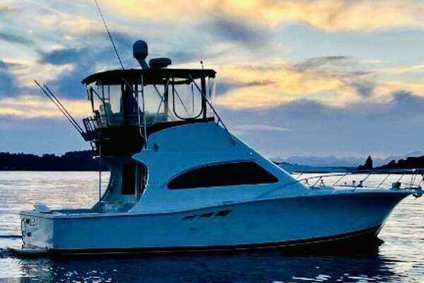 36-ft-Luhrs-2001-360 Convertible-Uno Mas SEATTLE Washington United States  yacht for sale