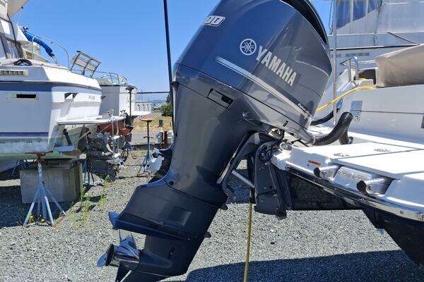 Photo of the 2017 Cutwater 24C "See Ya"