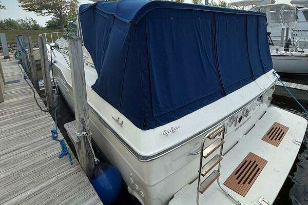 Photo of the 1989 Sea Ray 460 Express Cruiser