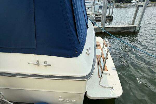 Photo of the 1989 Sea Ray 460 Express Cruiser