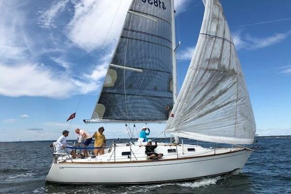 31ft Tartan Yacht For Sale