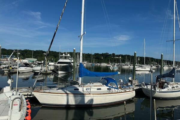 31ft Tartan Yacht For Sale