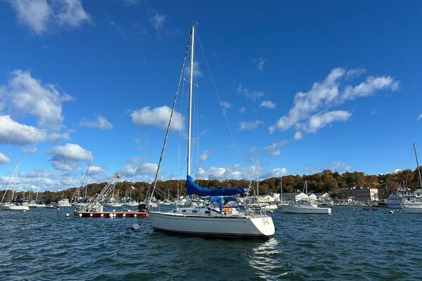 31ft Tartan Yacht For Sale