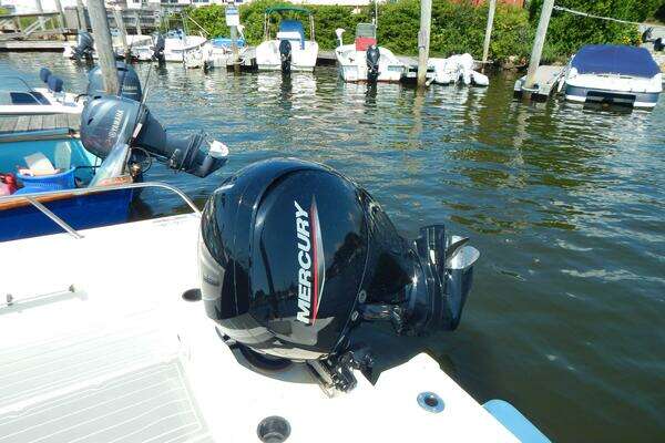 Photo of the 2020 Boston Whaler 190 Montauk "Czech Mate"