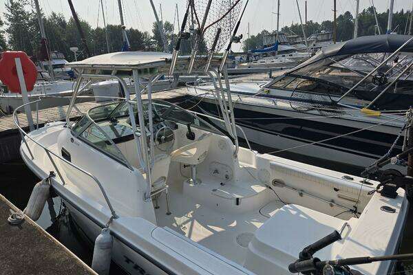 Photo of the 2004 Bayliner 