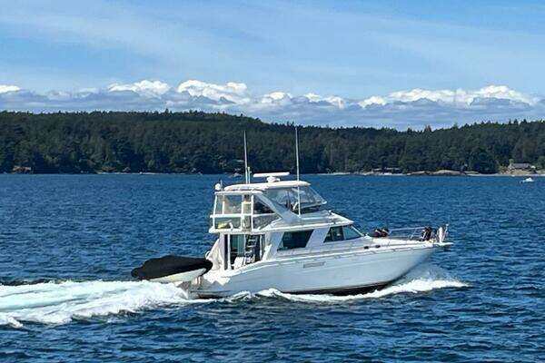 Sea Ray 550 Sedan Bridge Yacht For Sale
