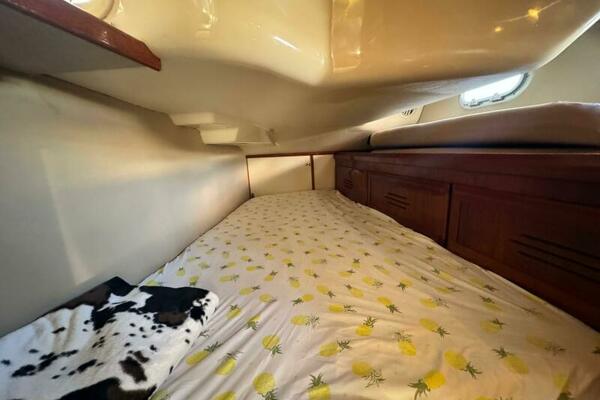 AVANTI 43ft Hunter Yacht For Sale