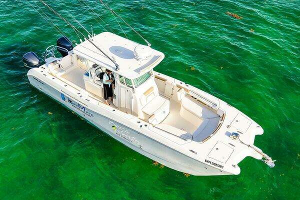 World Cat 320 CC Yacht For Sale