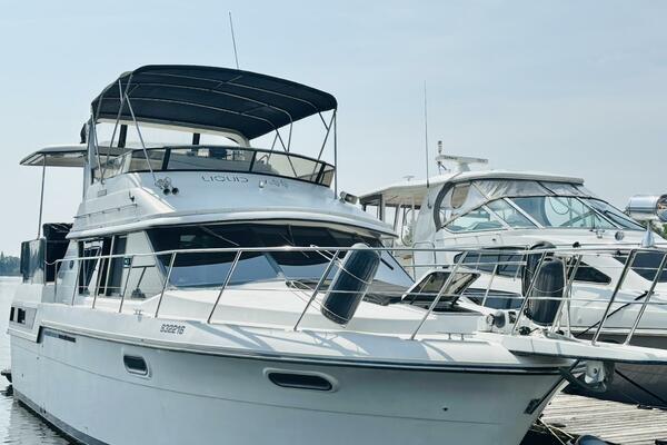 LIQUID ASSET 38ft Carver Yacht For Sale