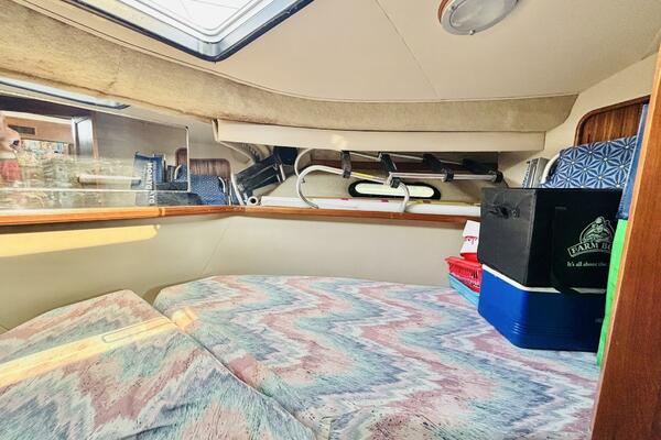 LIQUID ASSET 38ft Carver Yacht For Sale