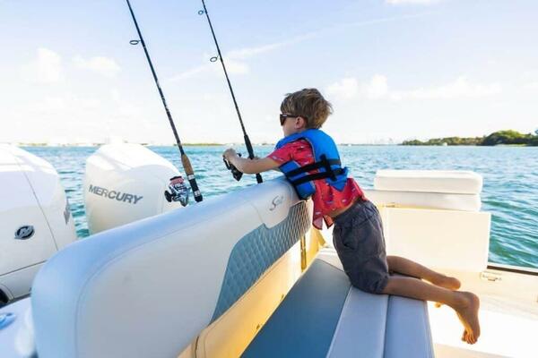 26ft Scout Yacht For Sale