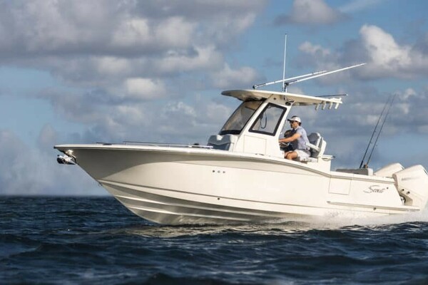 26ft Scout Yacht For Sale