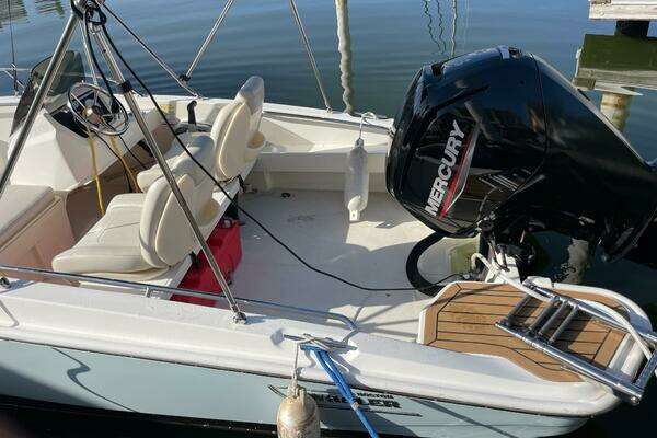 Photo of the 2021 Boston Whaler 