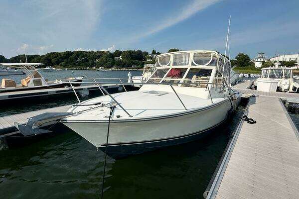 Photo of the 2005 Carolina Classic  "Magic"