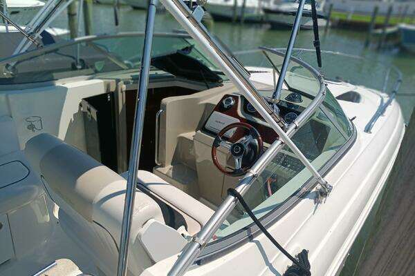 Photo of the 2010 Sea Ray 260 Sundancer