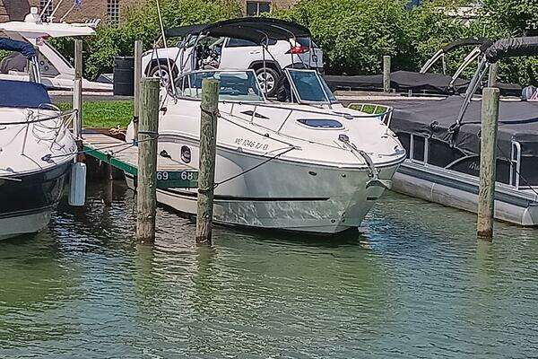 Photo of the 2010 Sea Ray 260 Sundancer