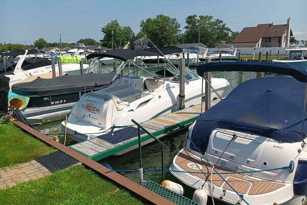 Photo of the 2010 Sea Ray 260 Sundancer