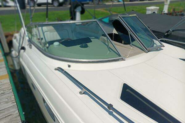 Photo of the 2010 Sea Ray 260 Sundancer