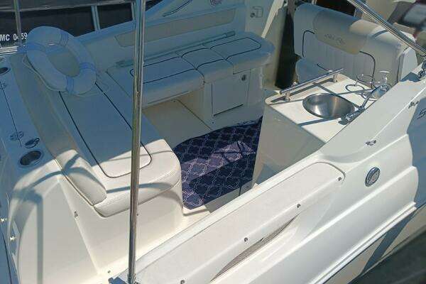 Photo of the 2010 Sea Ray 260 Sundancer