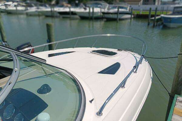 Photo of the 2010 Sea Ray 260 Sundancer