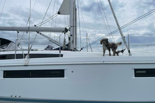 2020 Sun Odyssey 410