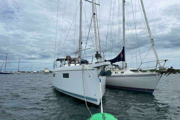 Photo of the 2020 Jeanneau Sun Odyssey 410 "Shaz"