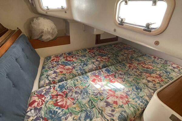 Water Wing 32ft Catalina Yacht For Sale