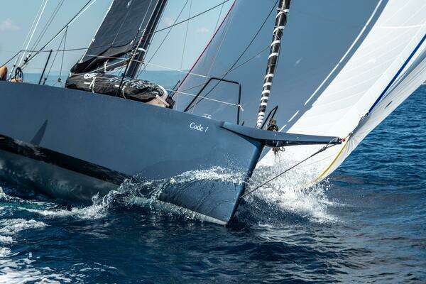 Photo of the 2026 Black Pepper Code 1