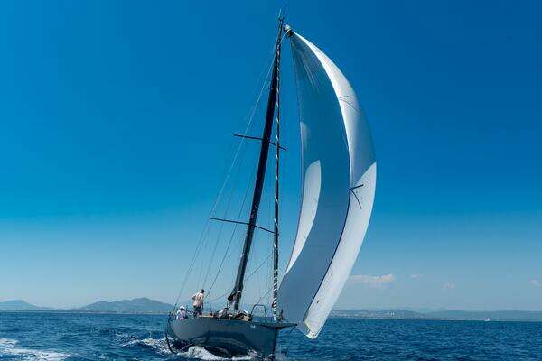 Photo of the 2026 Black Pepper Code 1