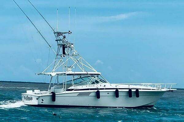 46-ft-Bertram-1994-46 Moppie-El Caiman  La Romana   Dominican Republic  yacht for sale