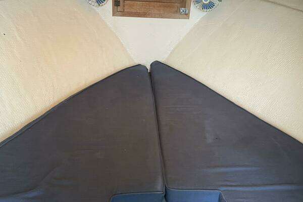 Photo of the 1980 Topaz Express "Rip Runner II"